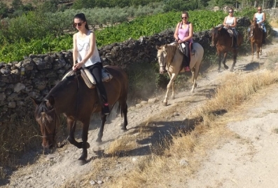 Proveedor Picadero San Miguel rutas a caballo