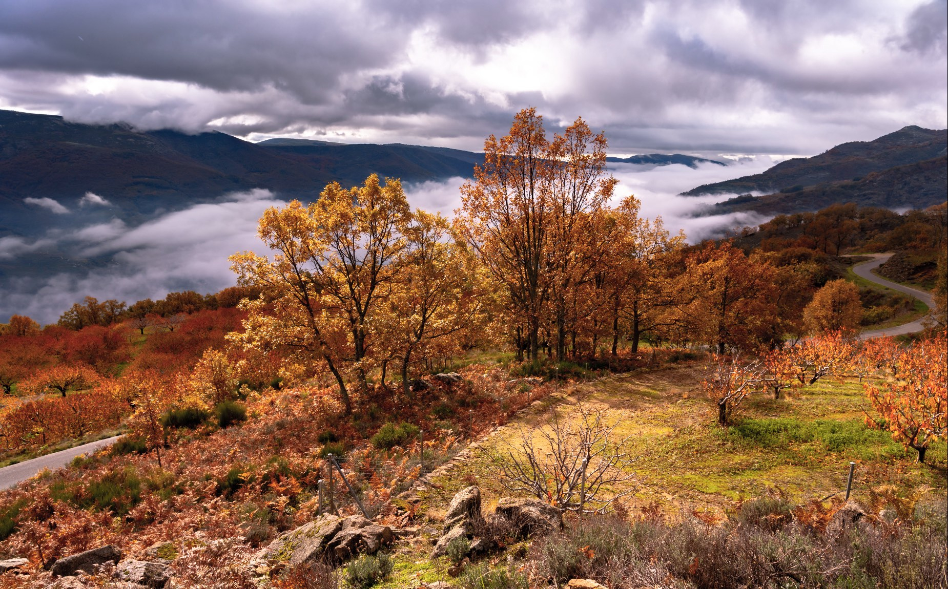 Paisajes del Valle del Jerte en oto&ntilde;o