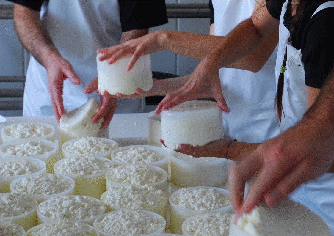  Three people making artisanal goat cheese