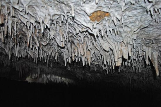 Imagen de Visita a la Cueva de Seso