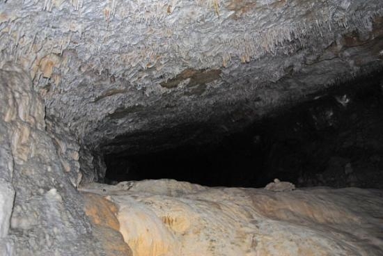 Imagen de Visita a la Cueva de Seso