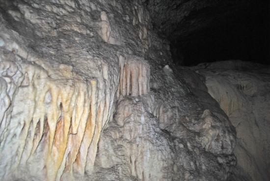 Imagen de Visita a la Cueva de Seso