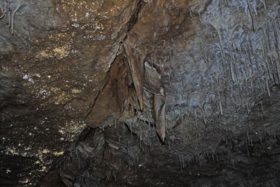 Imagen de Visita a la Cueva de Seso