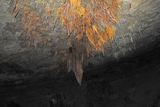 Imagen de Visita a la Cueva de Seso