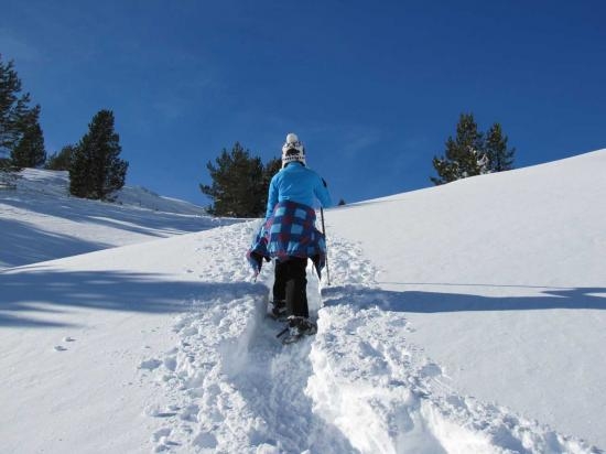 Imagen de Paseo con raquetas de nieve