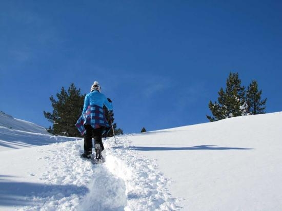 Imagen de Paseo con raquetas de nieve