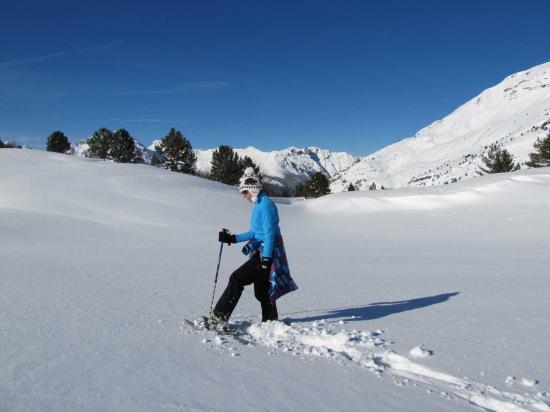 Imagen de Paseo con raquetas de nieve