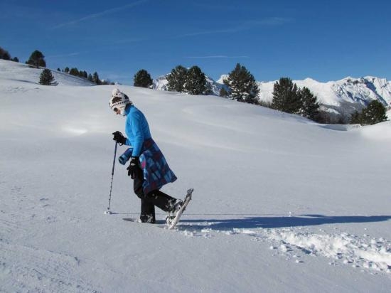 Imagen de Paseo con raquetas de nieve