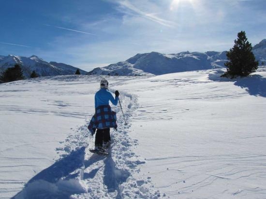 Imagen de Paseo con raquetas de nieve