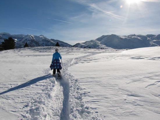 Imagen de Paseo con raquetas de nieve