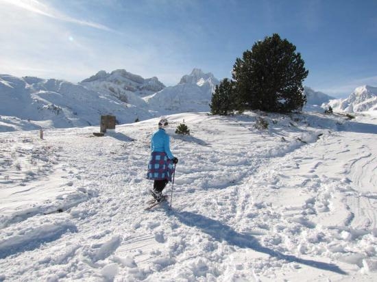 Imagen de Paseo con raquetas de nieve