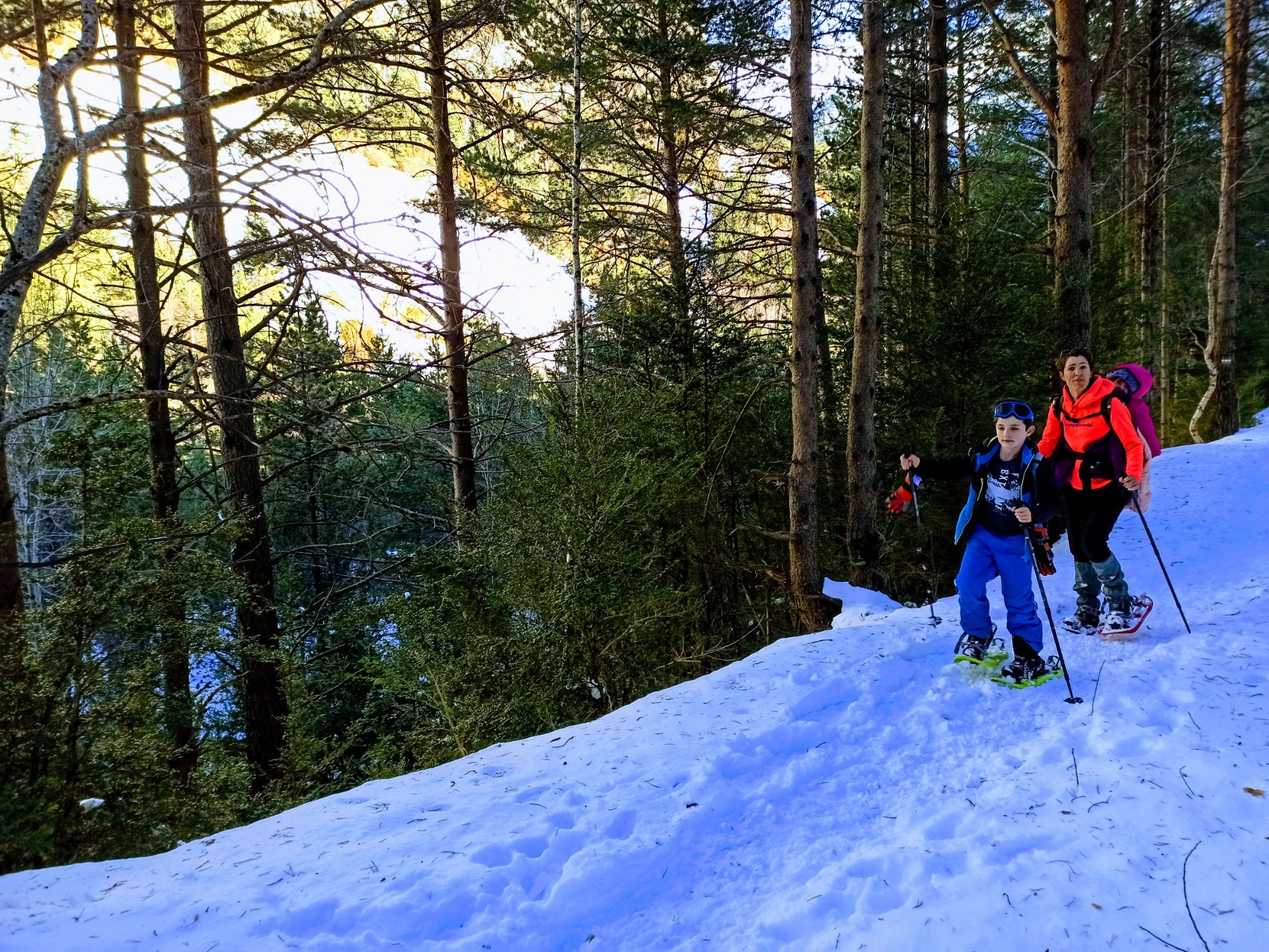 Imagen de Excursión con raquetas de nieve por Ordesa