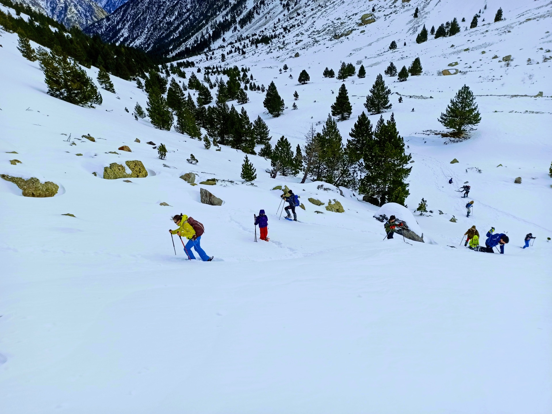 Imagen de Excursión con raquetas de nieve por Ordesa