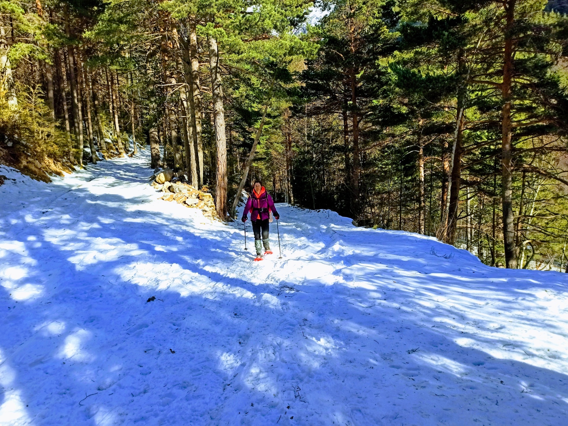 Imagen de Excursión con raquetas de nieve por Ordesa