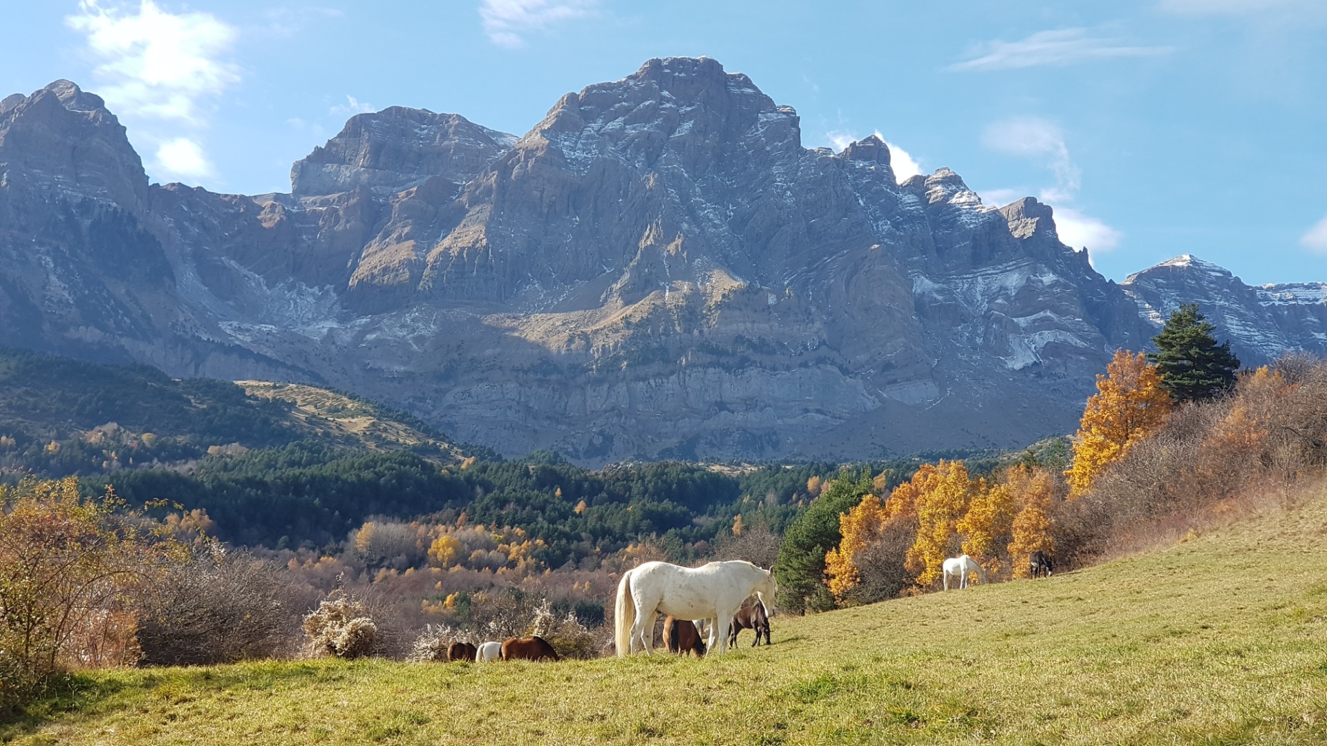 Imagen de Ecoturismo Ecuestre 