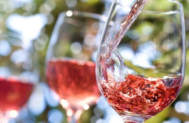 Imagen de Visita Bodegas Pirineos