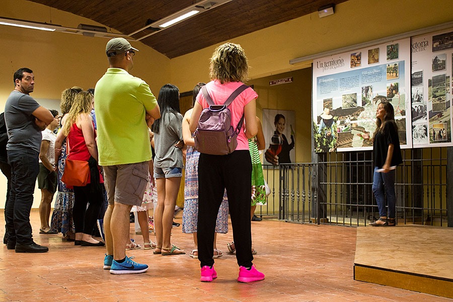 Imagen de Visita Bodegas Pirineos