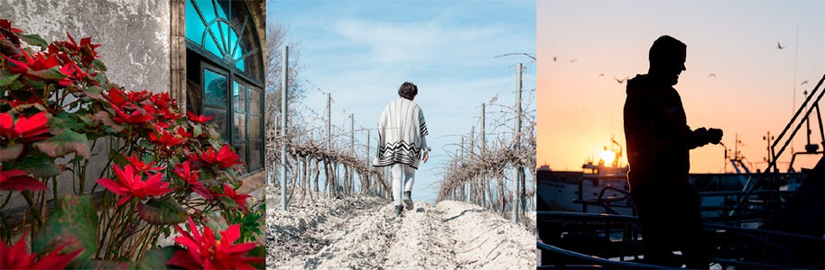 Imagen de Visita Bodegas Pirineos