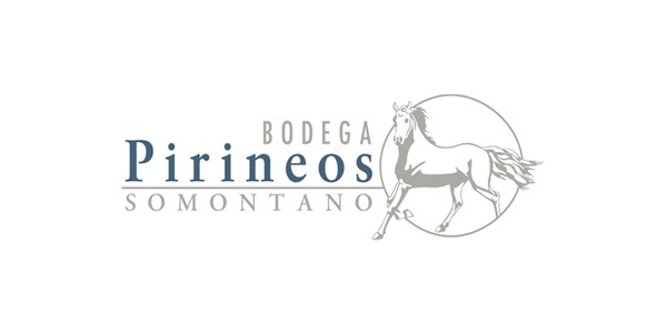 Imagen de Visita Bodegas Pirineos