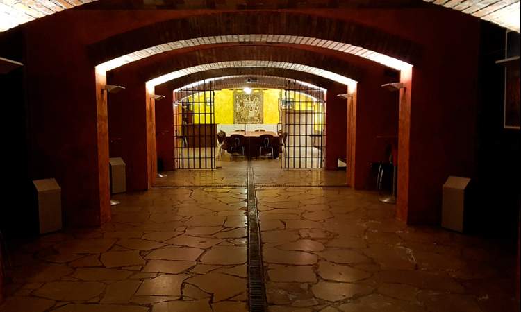 Imagen de Visita Bodegas Pirineos