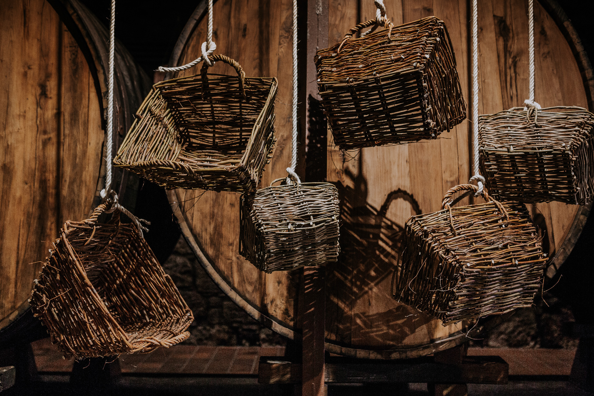 Imagen de Or&iacute;genes