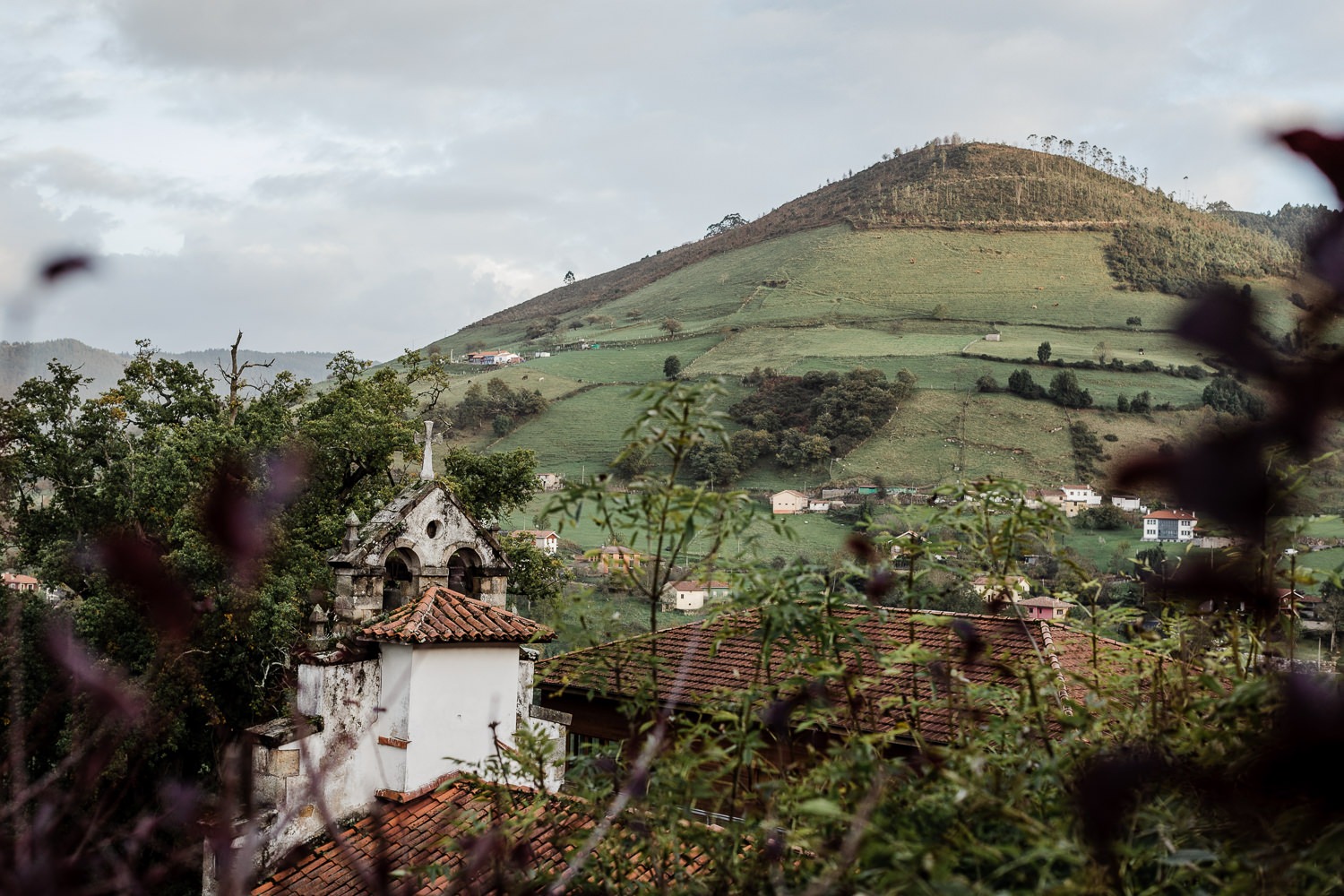 Imagen de Or&iacute;genes