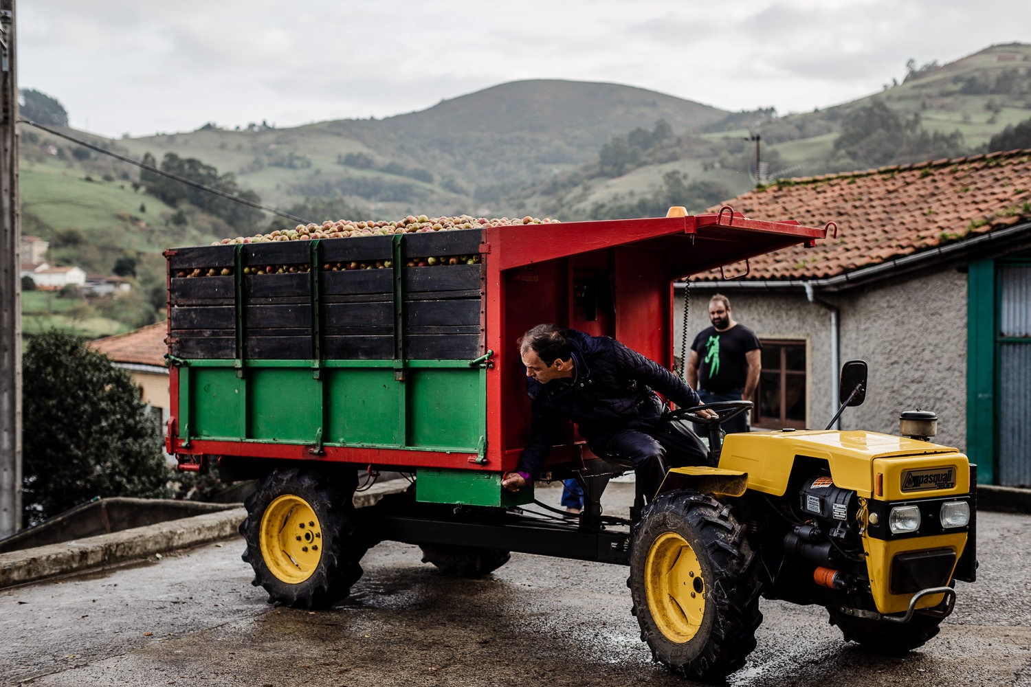 Imagen de Or&iacute;genes