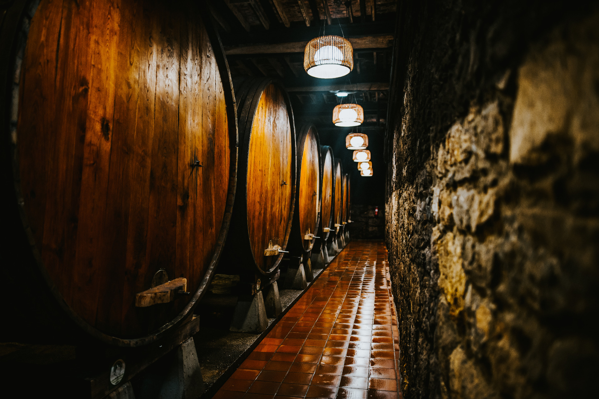 Imagen de Or&iacute;genes