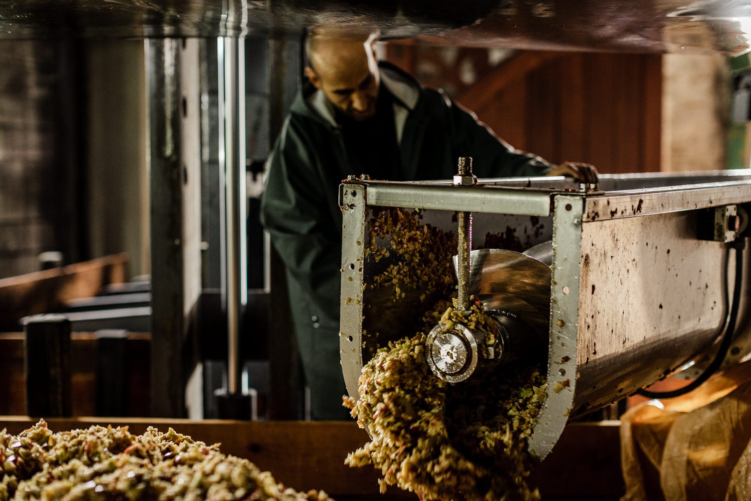 Imagen de Or&iacute;genes