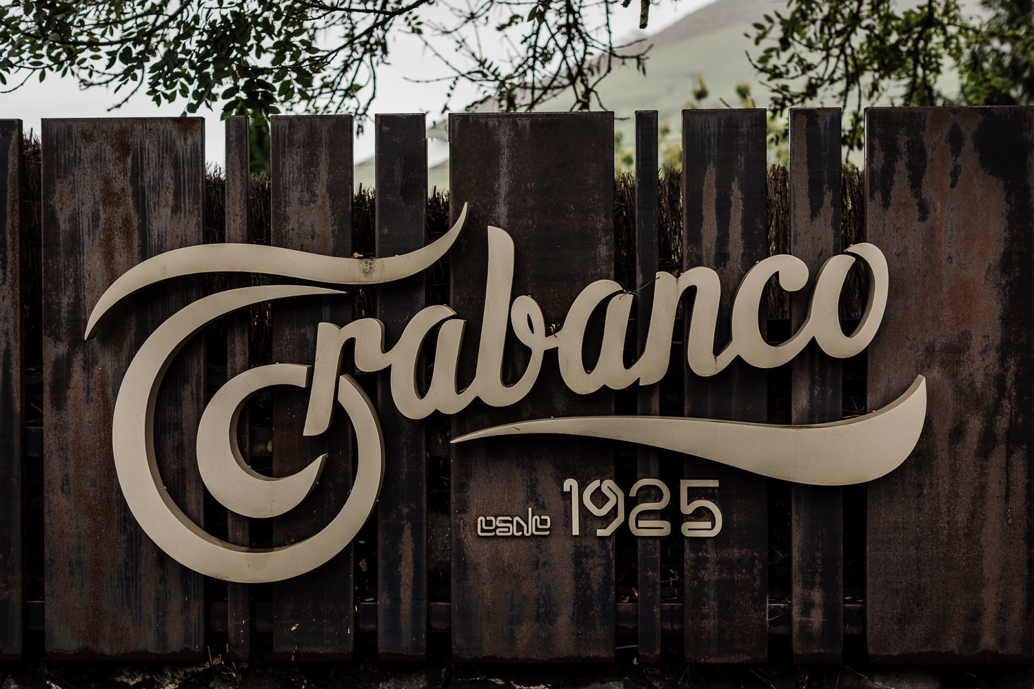 Imagen de Or&iacute;genes