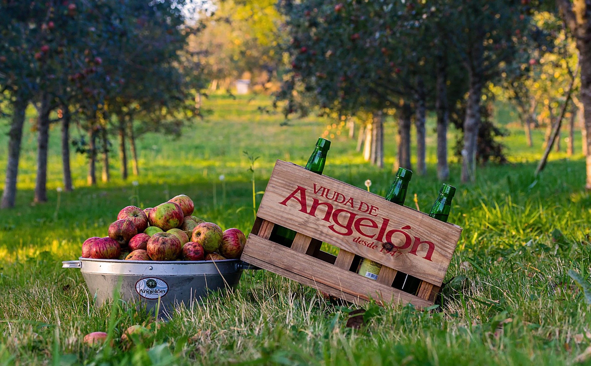 Imagen de Visita - Burbujas de Pomar