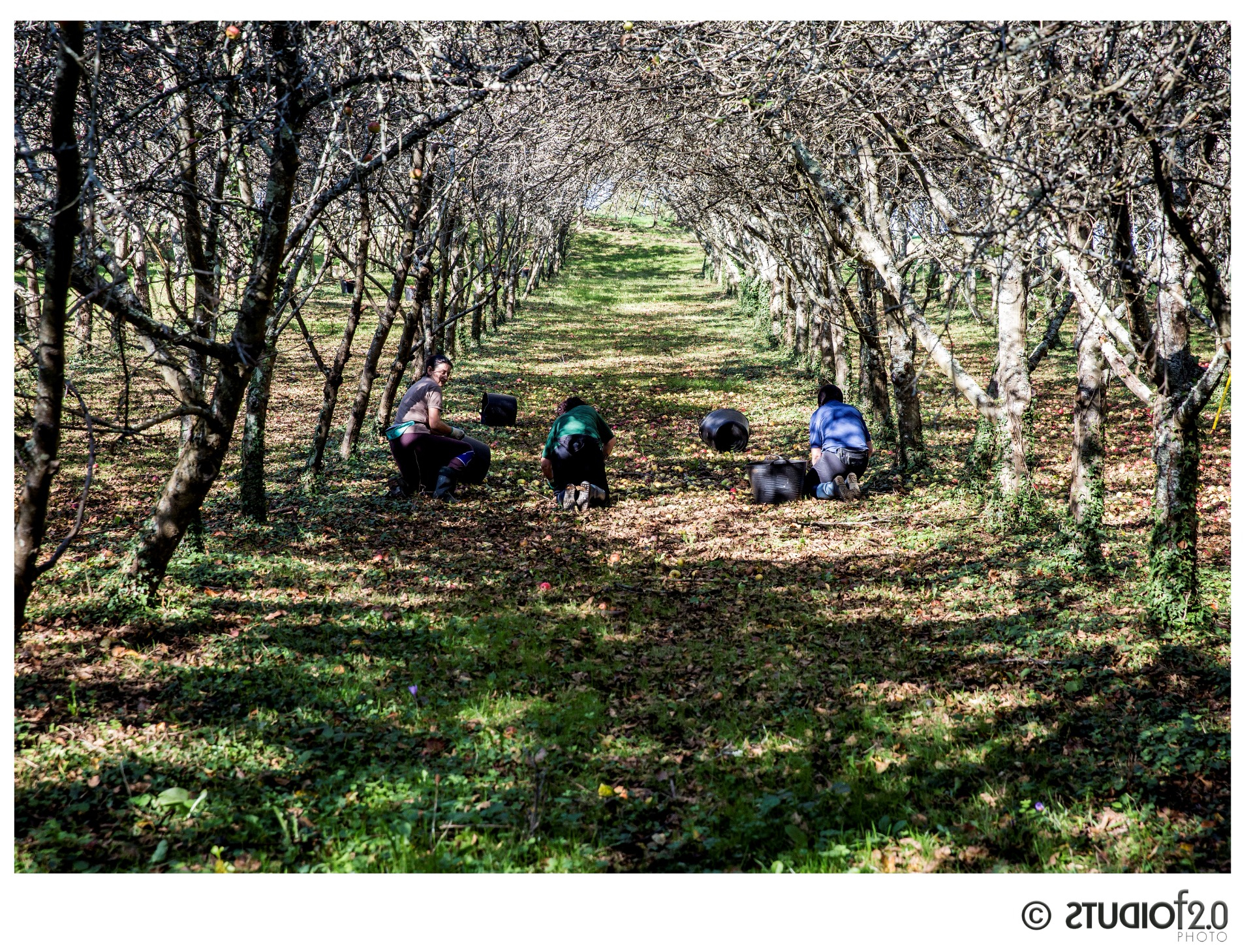 Imagen de Visita - Burbujas de Pomar