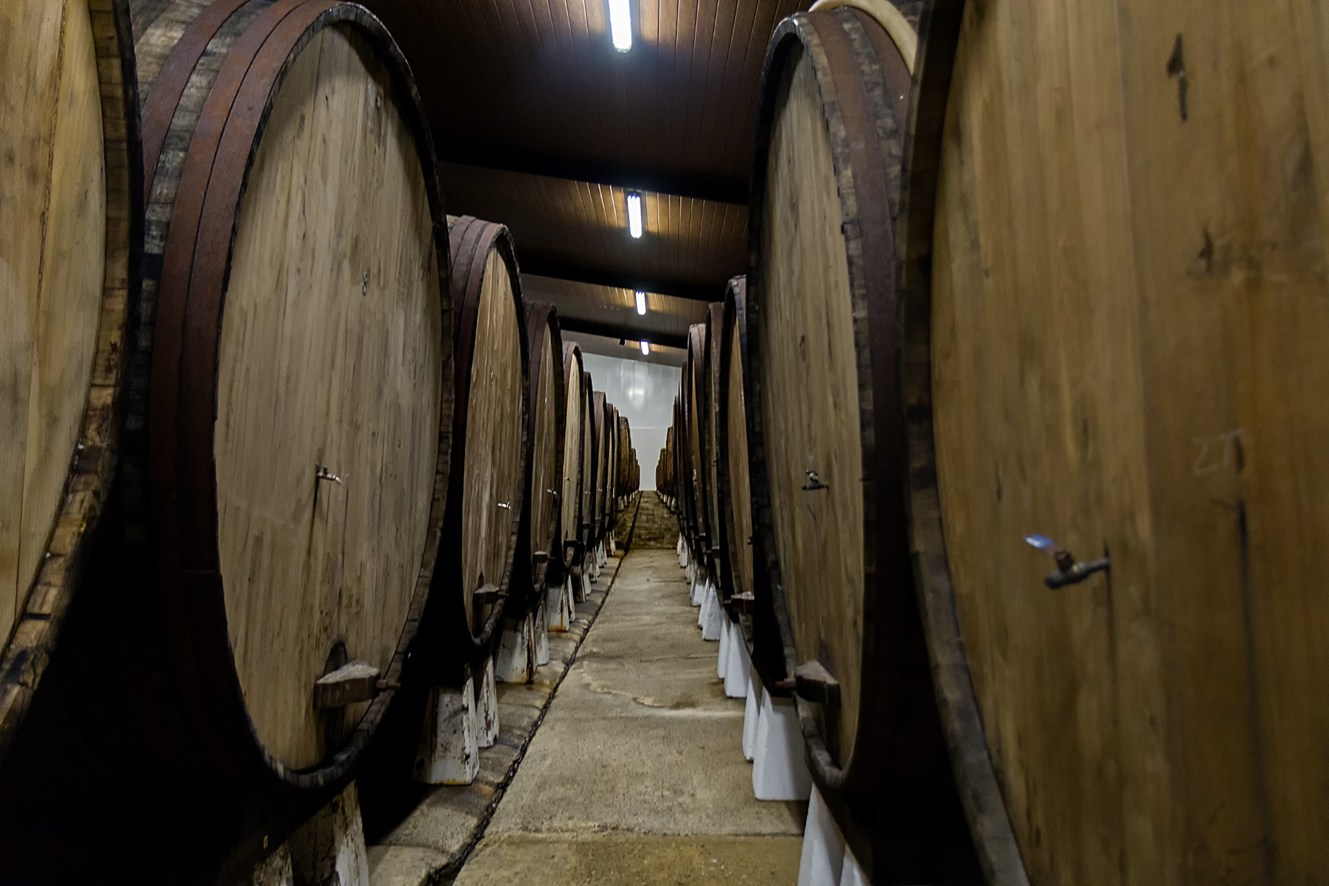 Imagen de Visita - Burbujas de Pomar