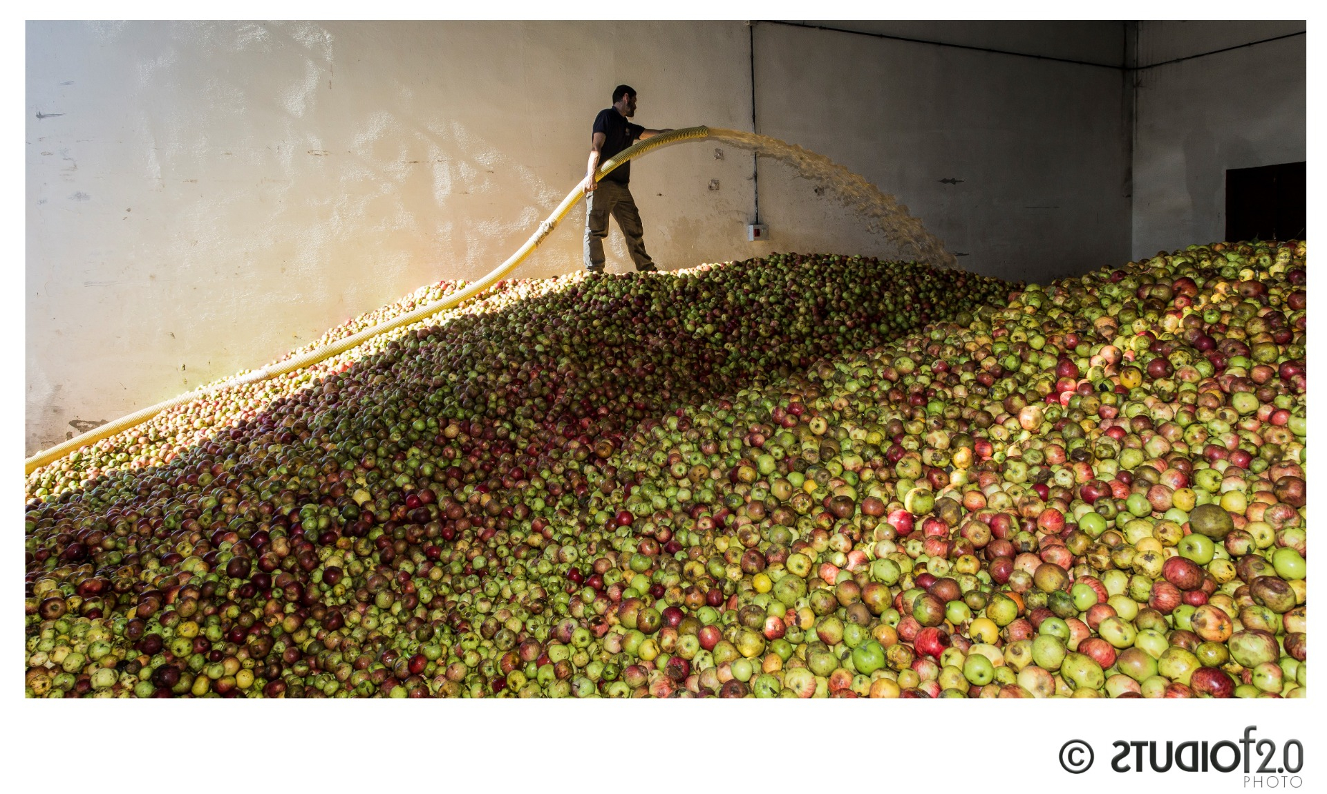 Imagen de Visita - Burbujas de Pomar