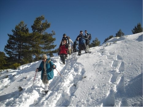 Imagen de Alquiler de raquetas de nieve