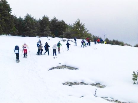 Imagen de Alquiler de raquetas de nieve