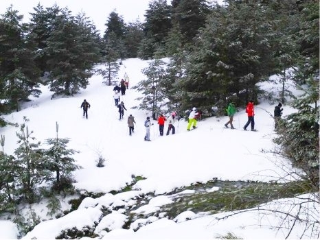 Imagen de Alquiler de raquetas de nieve