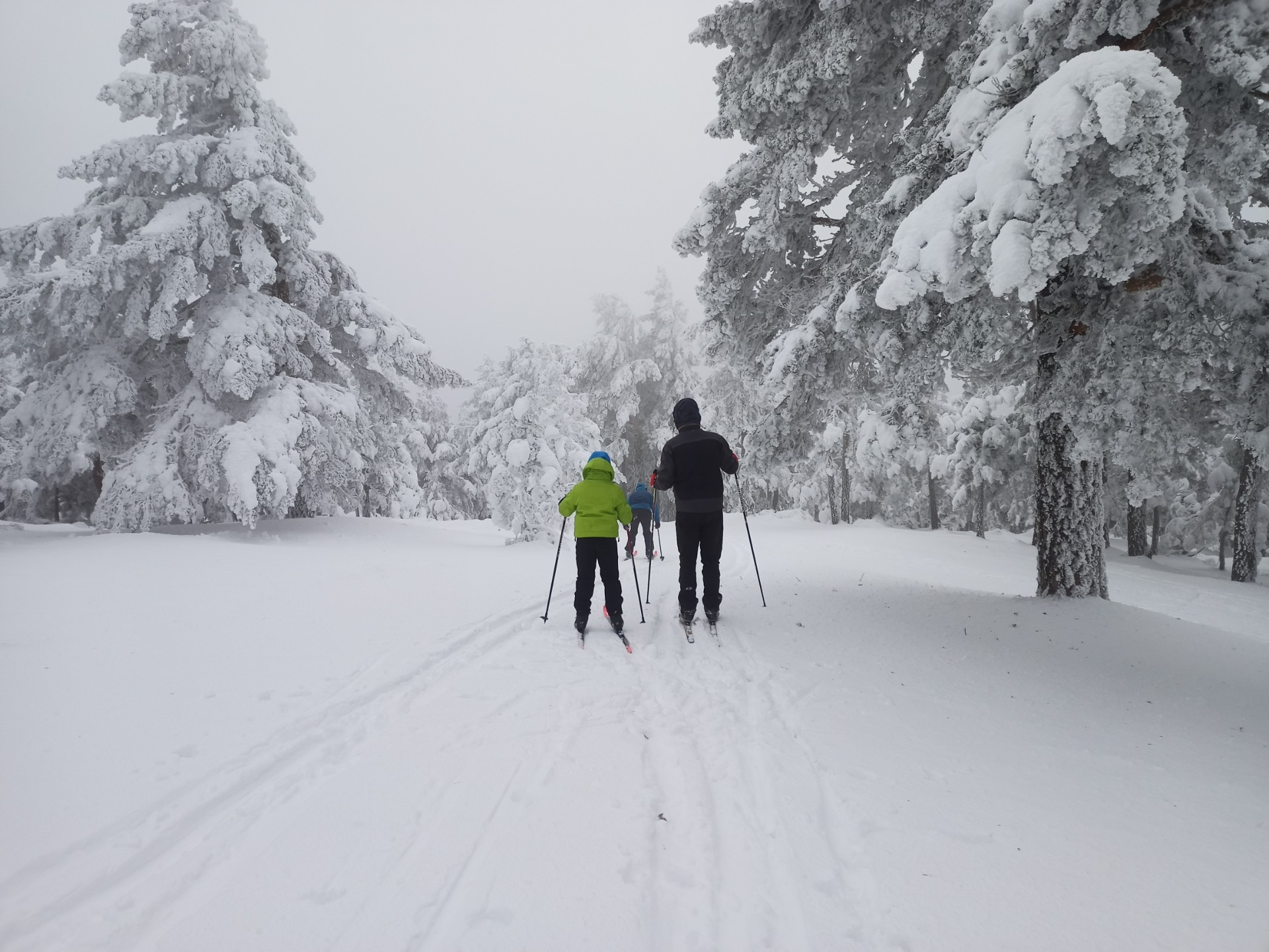 Imagen de Curso colectivo de iniciación al esquí de fondo o nórdico