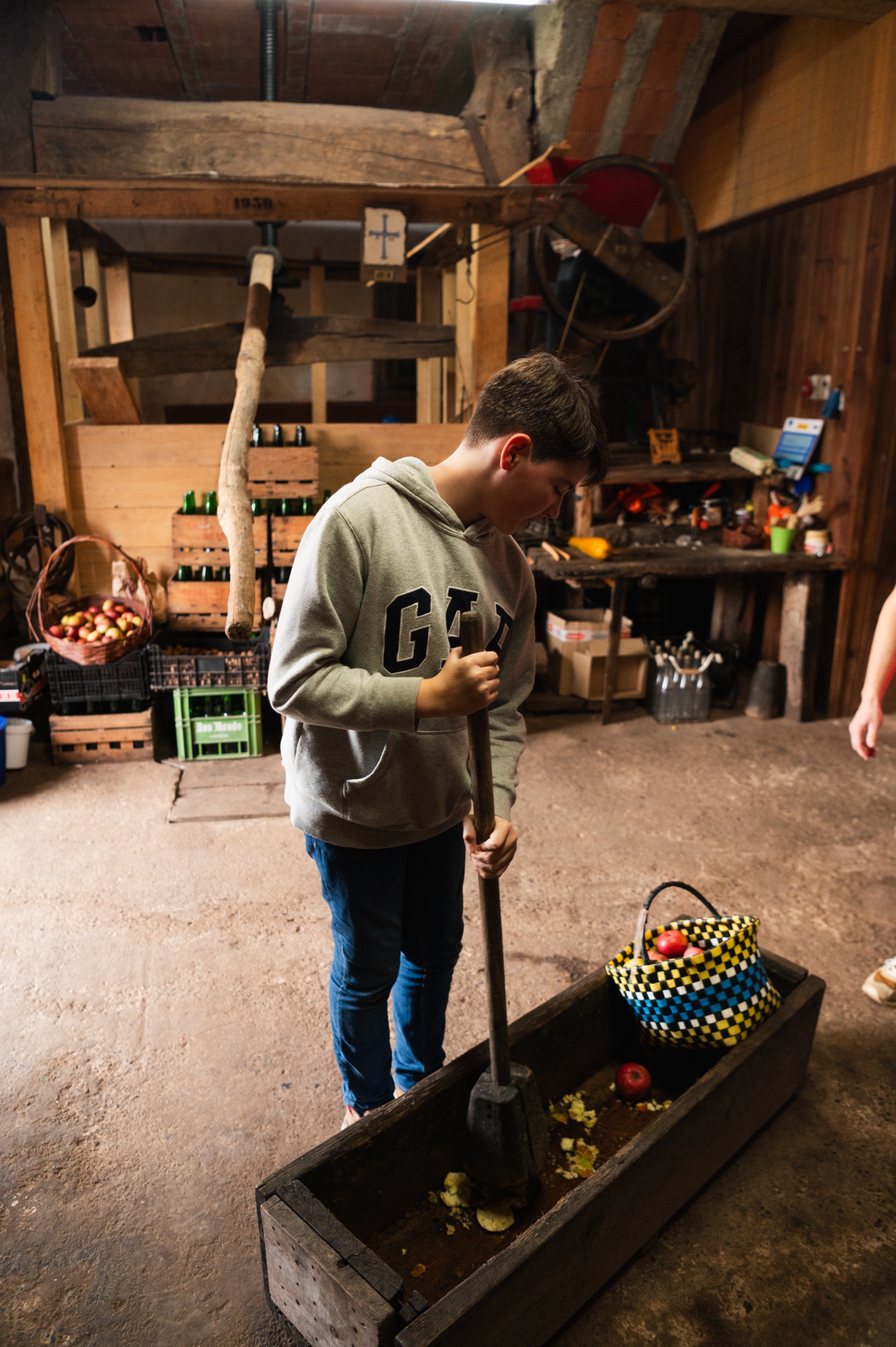 Imagen de LOS CASERINOS