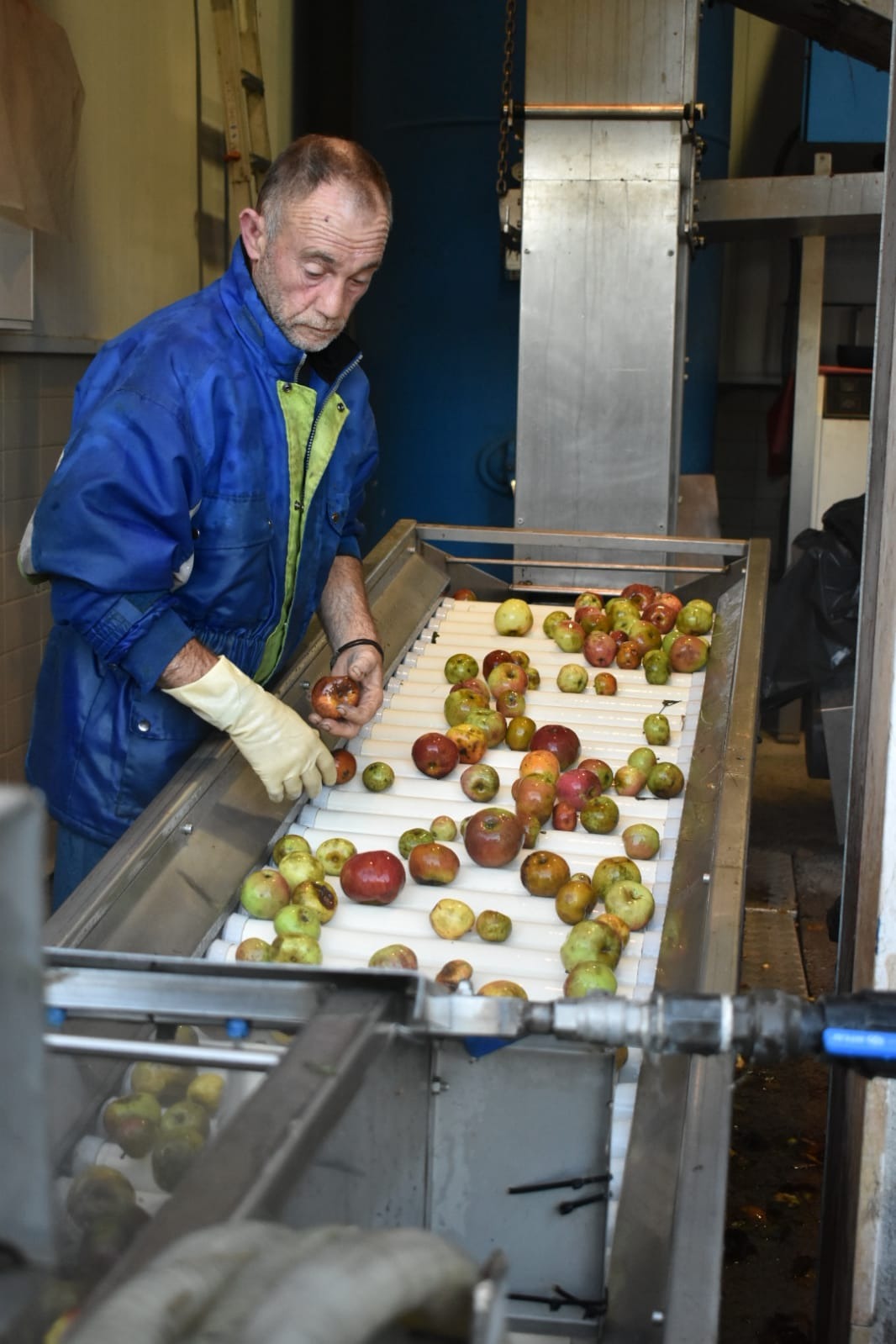 Imagen de SIDRATURISMO DE LA MANZANA A LA BOTELLA