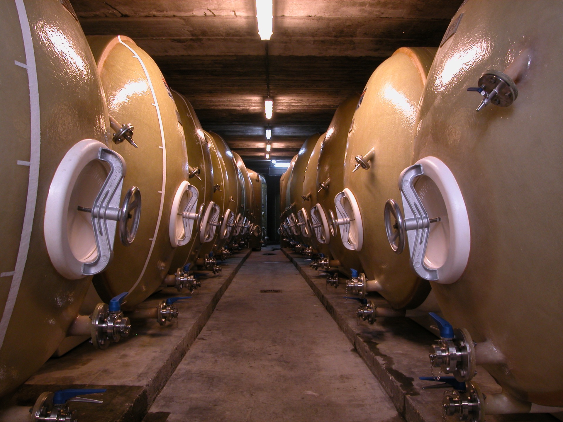 Imagen de SIDRATURISMO DE LA MANZANA A LA BOTELLA