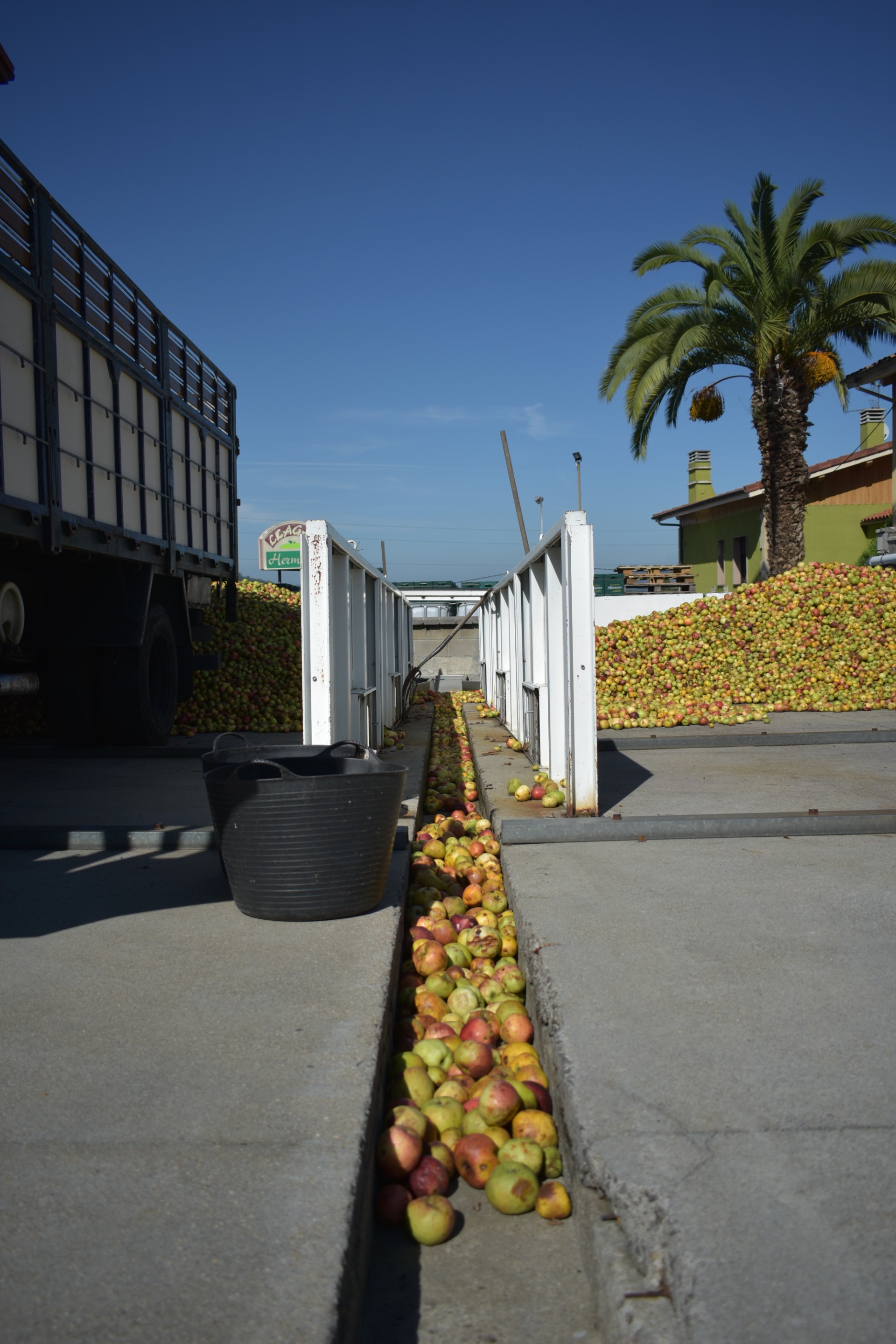 Imagen de SIDRATURISMO DE LA MANZANA A LA BOTELLA