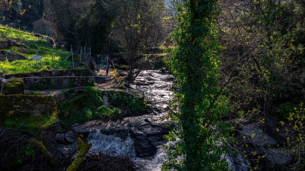 zona boscosa por donde baja con mucha agua la garganta de Marta.