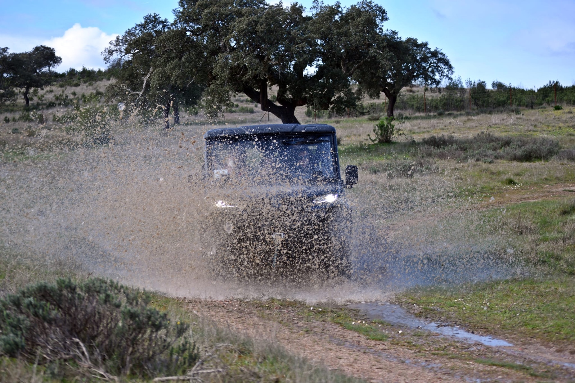 Imagen de Ruta en buggie a Granadilla (ruta combinada de barco y buggie)