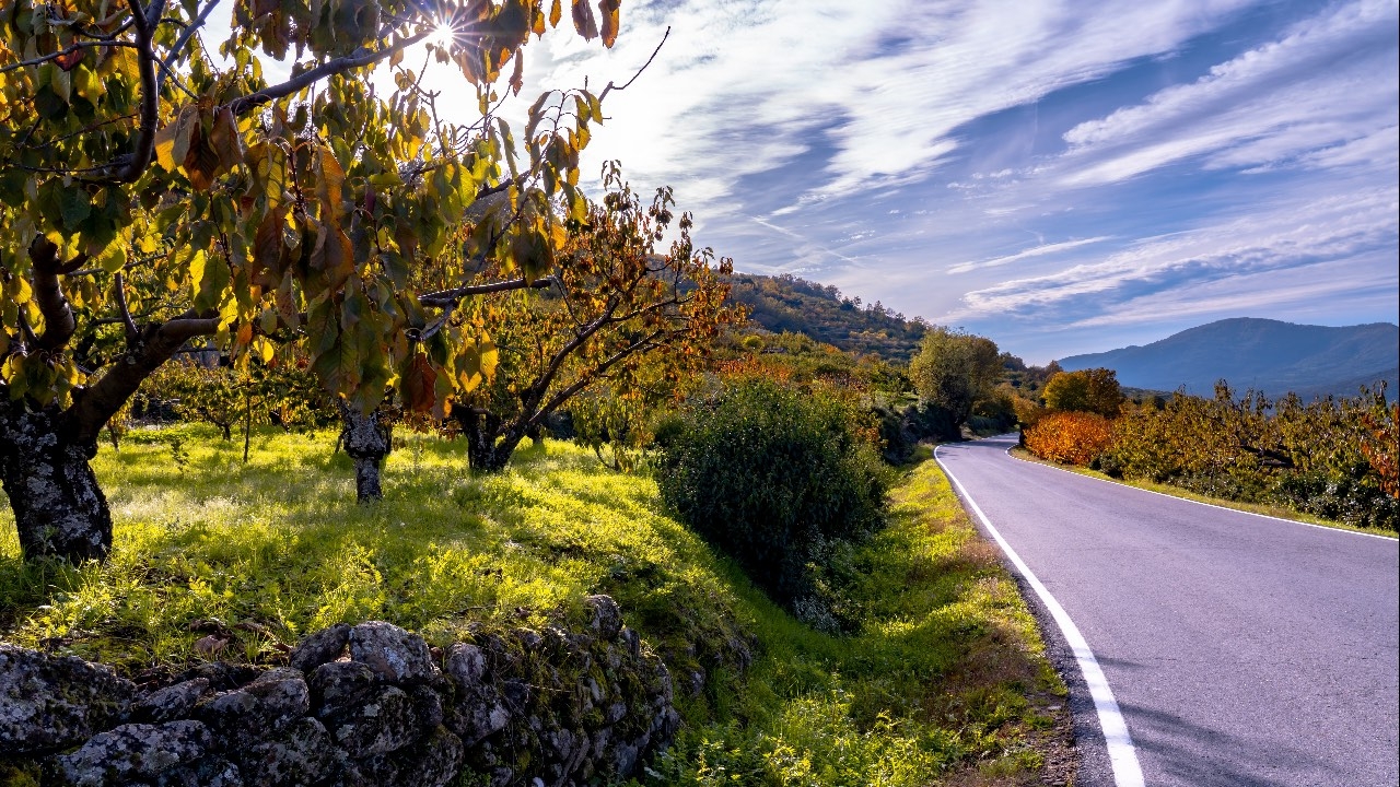 Paisaje de montaña viajando por carretera