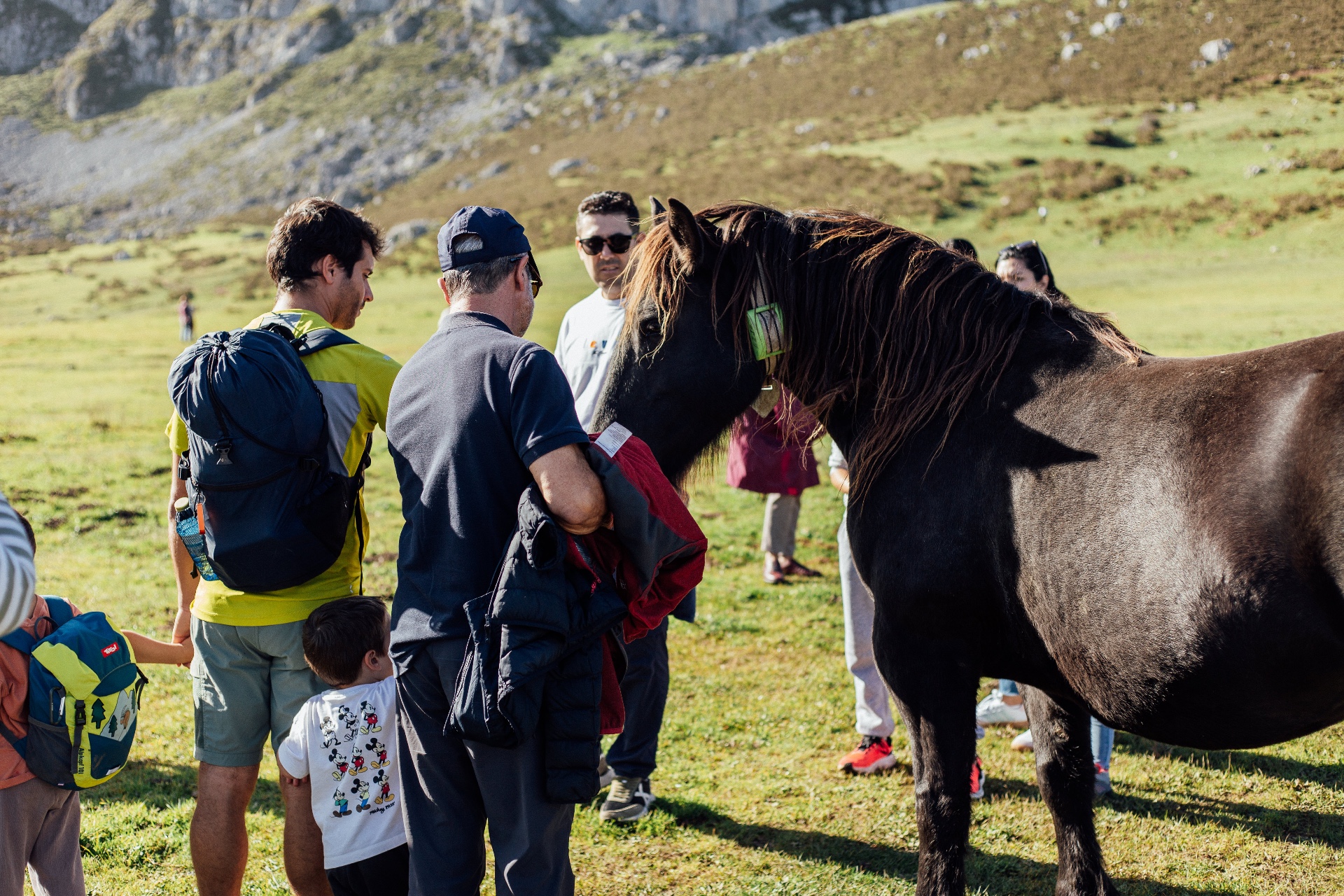 Imagen de Excursión a Covadonga, Lagos  y Lastres desde Gijón