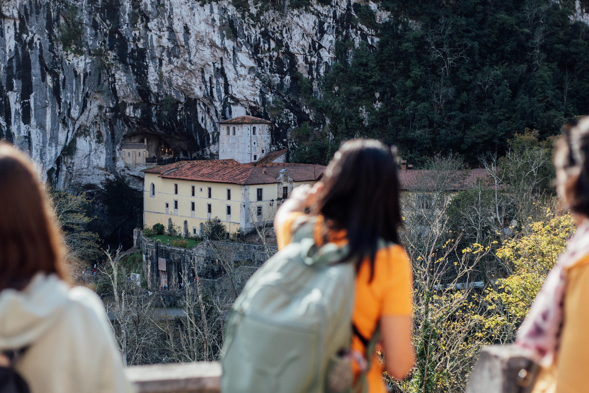 Imagen de Excursión a Covadonga, Lagos  y Lastres desde Gijón