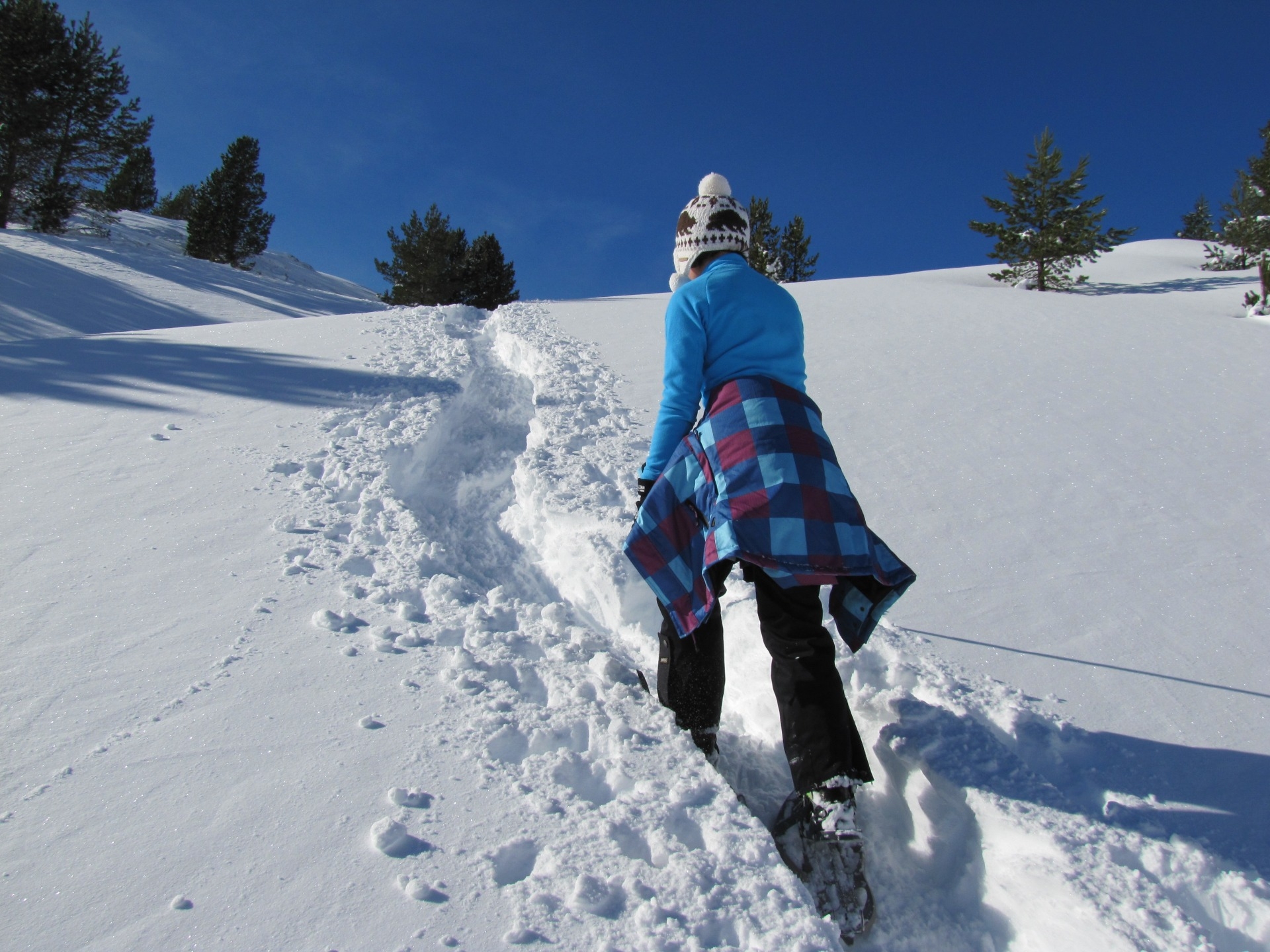 Imagen de Raquetas de nieve en Familia, Pirineos