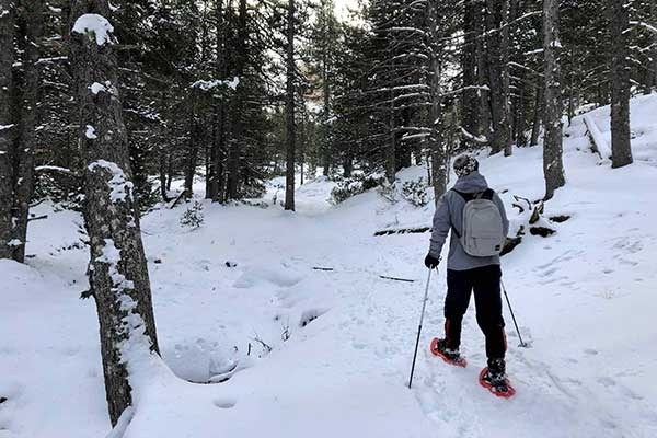 Imagen de Raquetas de nieve en Familia, Pirineos