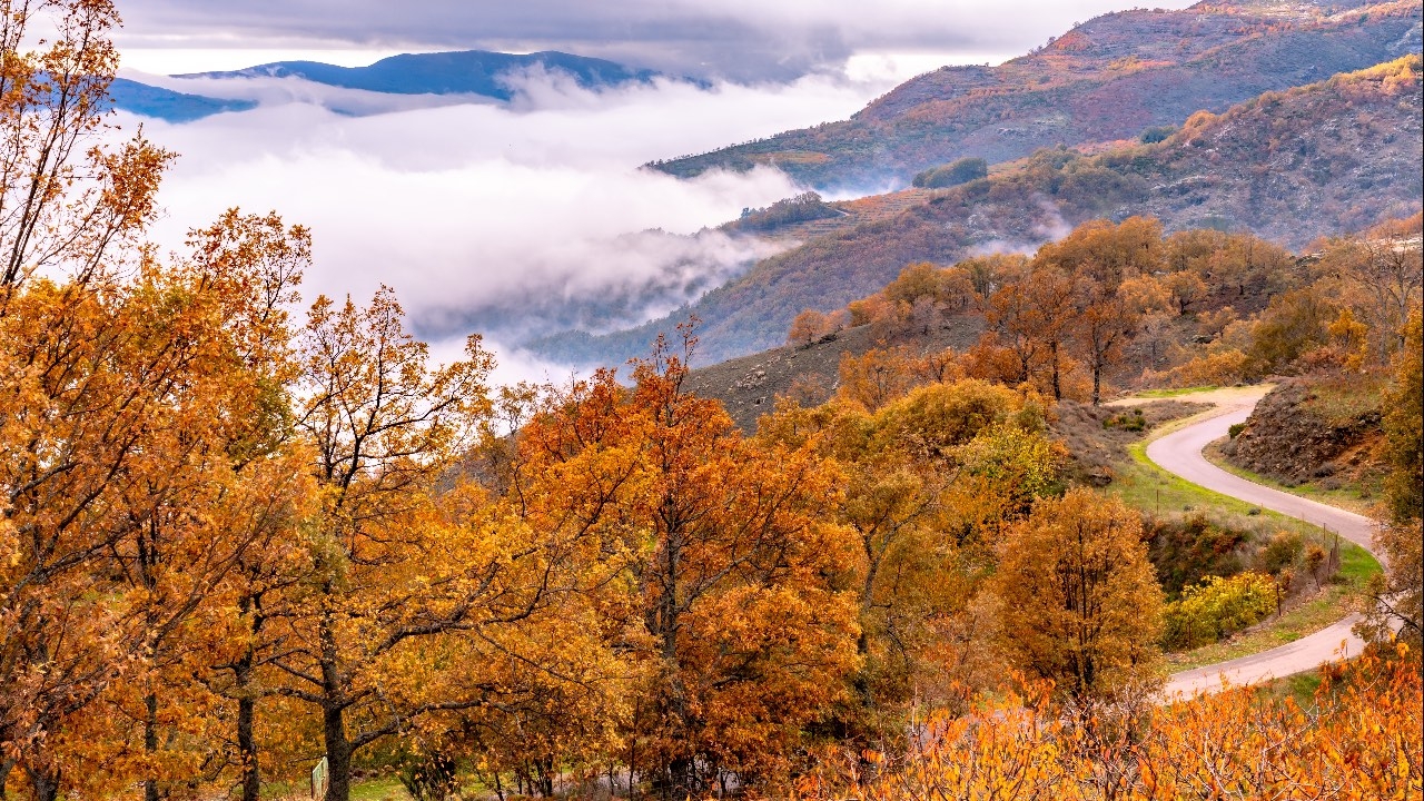 Autumn landscape of Valle del Jerte, seen from the port of Honduras.